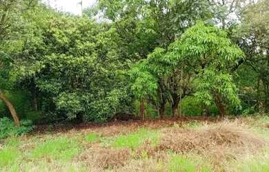 Imagem 6: Vendo 3 lotes. Em azurita ou chacara