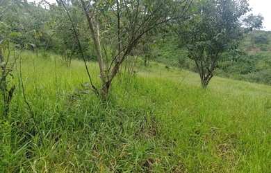 Imagem 3: FAZENDA 337 ALQUEIRES NIQUELANDIA - GO