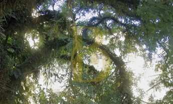 Imagem 4: Terreno com 667 m², à venda no bairro Bela Vista