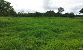 Imagem: Chácara disponível para venda em São