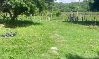 Imagem 4: Venda de terreno em baixios