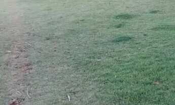 Imagem 4: Chácara meio alqueire