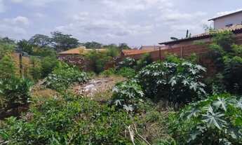 Imagem 3: Terreno 10x30, na Rua José Clemente, 2304, no bairro Primavera, ao lado da AMA