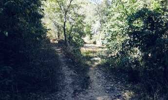 Imagem 5: Fazenda Planaltina 192 hectares pode ser escriturada