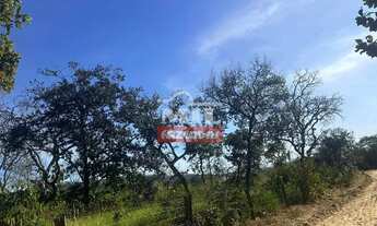 Imagem 2: Fazenda 40 alqueires (193,6 hectares) Mineiros - Go