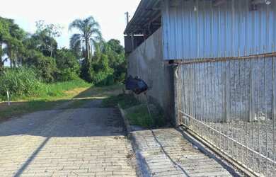 Imagem 5: Vendo casa e galpao araquari