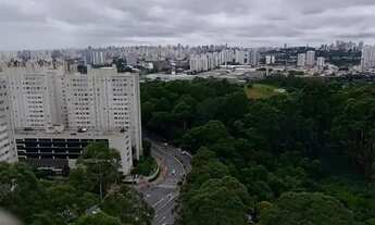 Imagem: LIBER BOSQUE JURITIS