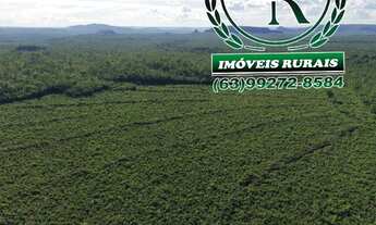 Imagem 5: Fazenda Agricultura Irrigada 93 Alqueires Tocantins
