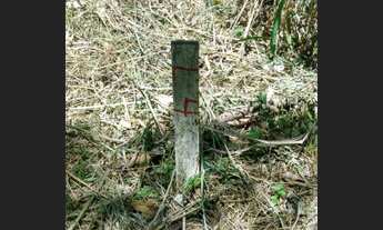 Imagem 5: Chácara 10.000 m2 120 mil -Colombo/Bocaiuva