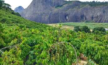 Imagem 7: Sítio medindo 16 hectares, em Lajinha - Pancas /ES