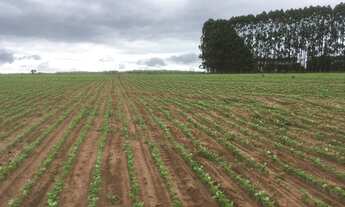 Imagem 6: 302 alqueires em Serranópolis-GO