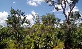 Imagem 2: Fazenda Alto Gurguéia