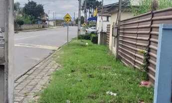 Imagem 3: Alugo Casa Quatro Barras