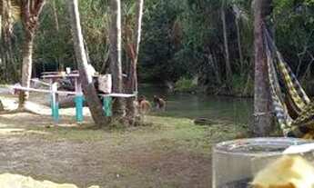 Imagem 6: Vende sítio arborizado na beira do asfalto