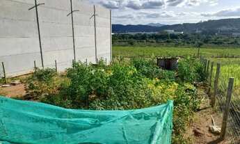 Imagem 5: Terreno Nova São José 383m2