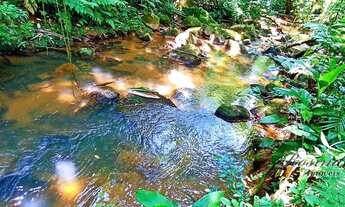 Imagem 16: Terreno à venda, 10000 m² por R$ 155.000,00 - Rio Sagrado - Morretes/PR