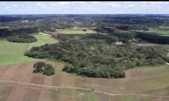 Imagem 3: Área para Venda em São José dos Pinhais, Roseira de São Sebastião