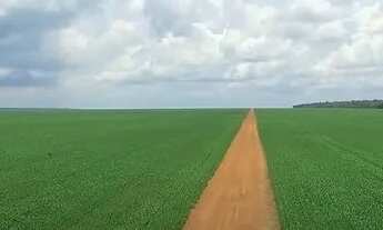 Imagem 4: Fazenda de 80.090 hectares Paranatinga - MT