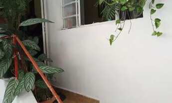 Imagem 5: VENDE-SE CASA PIRITUBA- SP