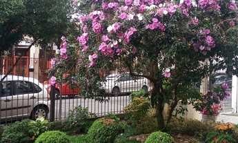 Imagem 4: Oportunidade única! Imperdível!