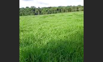 Imagem: Terreno zona rural/ chácara/ sítio