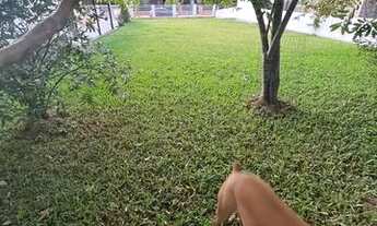 Imagem 2: Terreno Palhoça