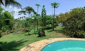 Imagem 5: Vendo Chácara em Domingos Martins