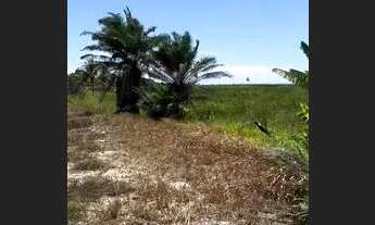 Imagem 7: Chácara Pé na areia - Praia dos Corais ALCOBAÇA - BA