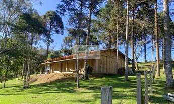 Imagem: Sítio à venda no bairro Bateias de Baixo