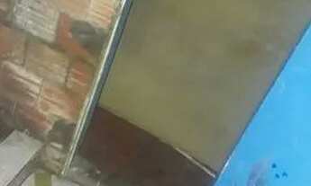 Imagem 3: Vende se casa no bairro cristal