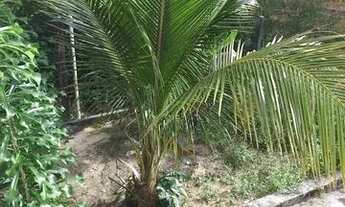 Imagem: Alugo ou Troco uma Casa no Iranduba