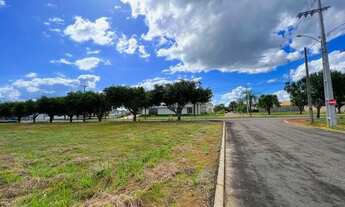 Imagem 4: Lotes no Polinésia