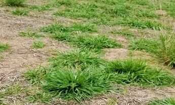 Imagem 7: 03a-LFJI20 Terreno / lote com venda por R$60.000