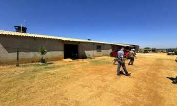 Imagem: Vendo chácara com plantação