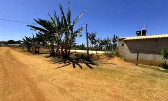 Imagem 2: Vendo chácara com plantação