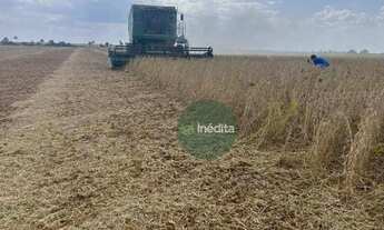 Imagem 3: Fazenda à venda, m² por R$ 105.000.000,00 - Zona Rural - Bonfim/RR