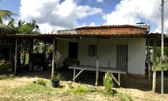 Imagem 5: Fazenda 80 tarefas Vila Margarida / Itanagra