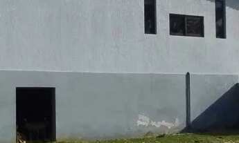 Imagem 4: Chácara com casa de alvenaria, terreno plano com 4.572m², poço industrial e árvores