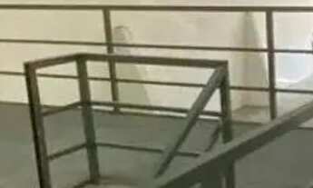 Imagem 6: GALPÃO - DO TIJUCO PRETO - SP