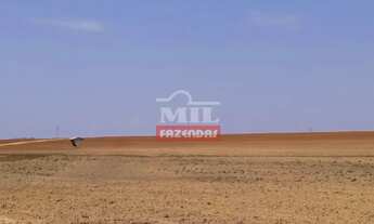 Imagem 3: Fazenda em Cachoeira Alta-GO. (153 Alqueires