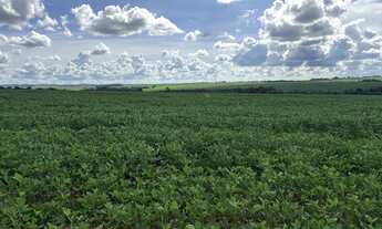 Imagem: Fazenda Itaberaí
