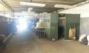 Imagem 5: Barracão - Jardim Aurélia - Campinas