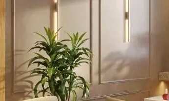 Imagem 7: Apartamento em Vila São João, Goiânia/GO