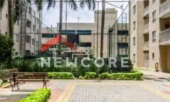 Imagem: Apartamento em Rua Arnaldo Cintra - Vila