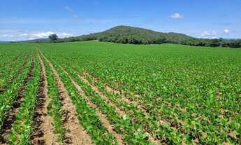Imagem: Fazenda à venda próximo a Padre Bernardo