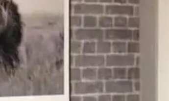 Imagem 2: CONJ. COMERCIAL - CONSOLAÇÃO - SP