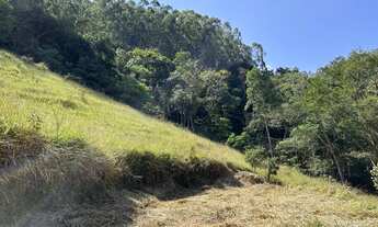 Imagem 7: Sítio com 12 ha sendo 6,5 de eucaliptos com 12 anos