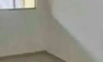 Imagem 6: Casa em capim macio