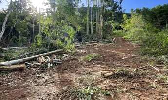 Imagem 7: Área - Bairro Linha São Paulo