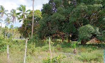 Imagem 6: Sítio a venda! Chácara com venda por R$180.000